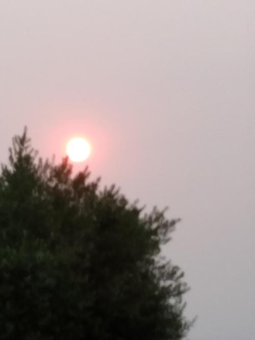 a2017cf9-dc8a-41a1-9e5f-8a97f9b8e98f