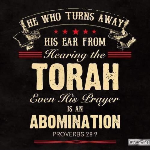 e268b06b-f20a-4552-aa30-1d738c23650b