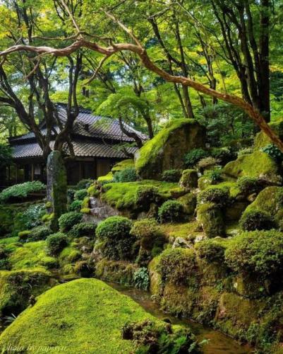 279567502_543556453807028_6904159748049112580_n