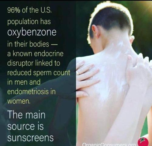 0c9869f7-76cb-4a9a-91a8-dbbeab46fffc