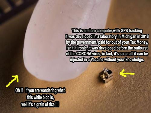 The-Smallest-Computer and a grain of rice copy