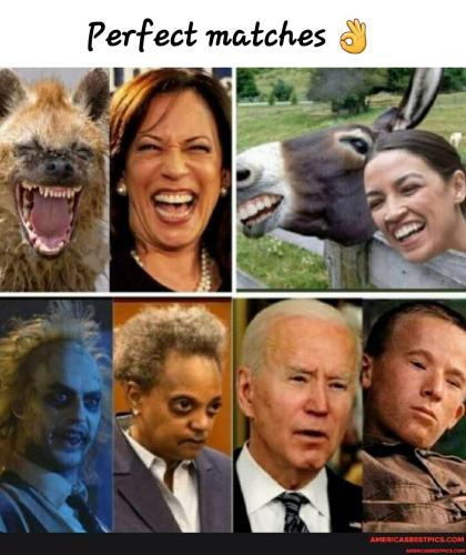 55e89086-27a4-4a65-9534-5bb4a6ee18c8