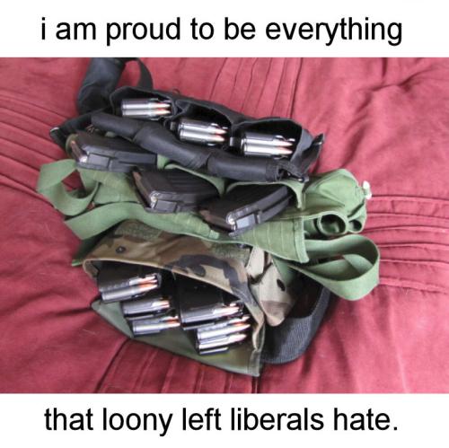 i am proud to be everything that loony left liberals hate