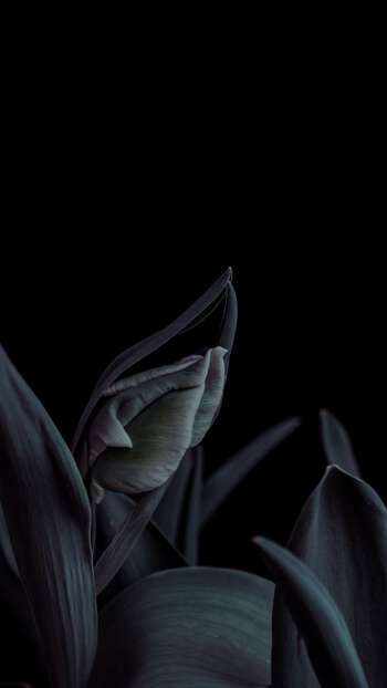 8c2b1cc2-b0e0-4c90-94fa-ce47309e9263