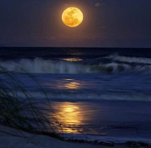 ! Beautiful full moon beach