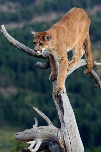 tumblr_6be06bf6ed122361871b2b61765a4e9b_b6cb3012_500