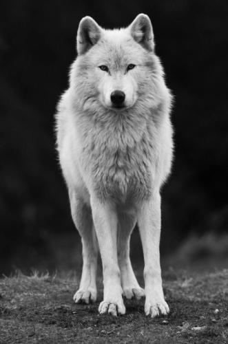 fc48f23c342b3aa57e28e59146e7fdf4