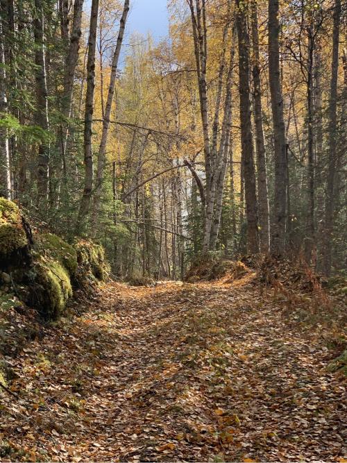 3BBA82C1-9944-4FB1-847A-E30F0F8EA992