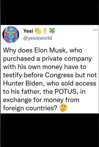 Musk 1