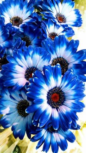 09:45:34 GMT-0500 (CDT)