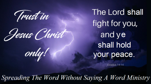 279455803_528112628955036_1058163523770409325_n