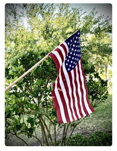 E0135861-9619-4E4F-864F-BD23FB658D1A