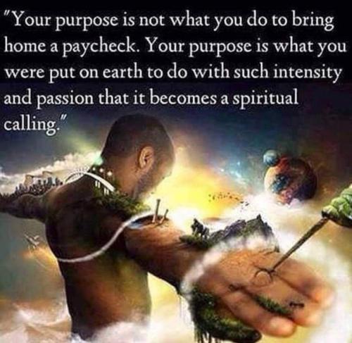 294bb556-8cdb-419b-a42d-134775804d0c