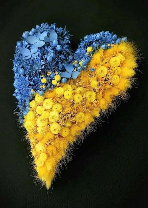 62ec1bc1-0135-47f9-85d2-c992bb165ed9