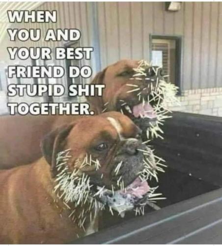 804a983e-2432-456f-9ce4-2afbecaa5706