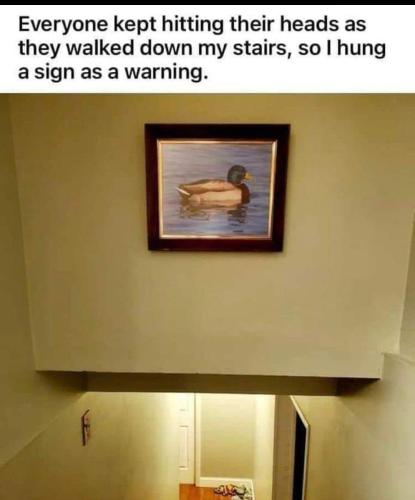 154a317a-9de9-4917-b8e2-7a62e30912ab