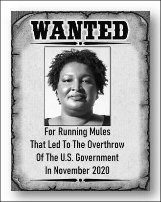 2000 mules10