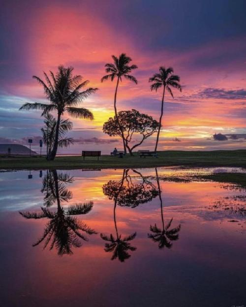 3c110e2d-28b3-4300-8e09-bbf776fcdbbb