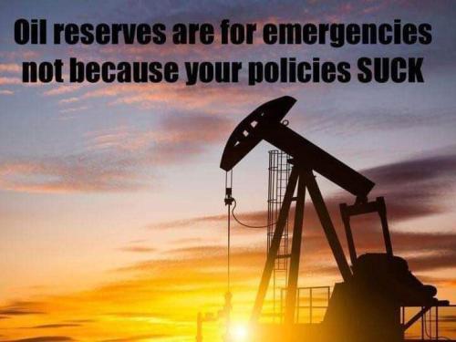 D555B8BB-04A4-4C34-BFE8-47296C01D35F