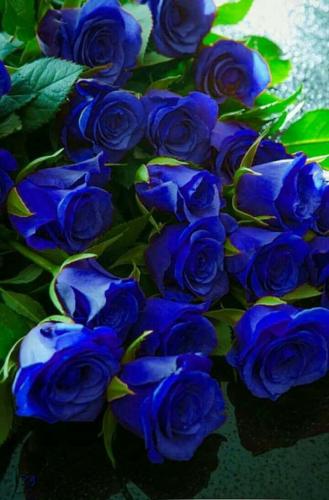 08:51:16 GMT-0500 (CDT)