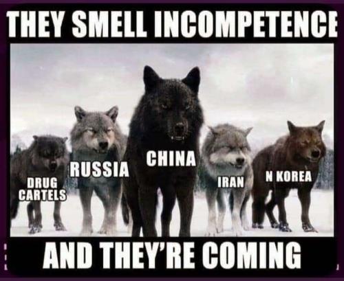 2d889fb5-cfc0-4bc4-b0c6-938f1b42536c