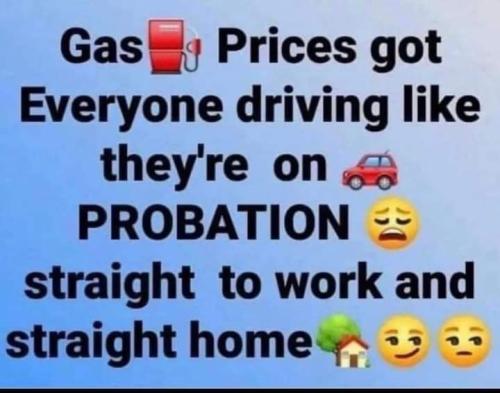 FB_IMG_1653686978278