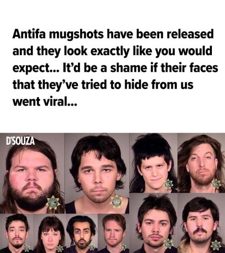 Antife members