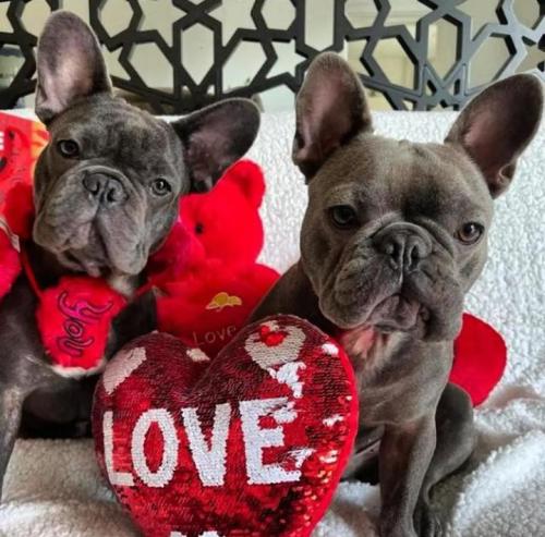 694bc530-0a0f-4d57-9478-19c7ff56b81e