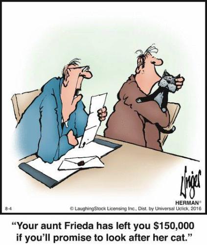 cc6de6db-3f36-43cd-9057-047fd40fe91c