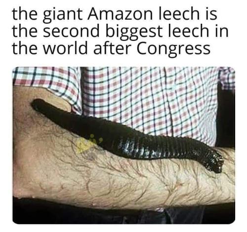 FB_IMG_1653358366338