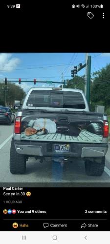 217d7c6b-8193-464a-b9d5-9ed108ac706d