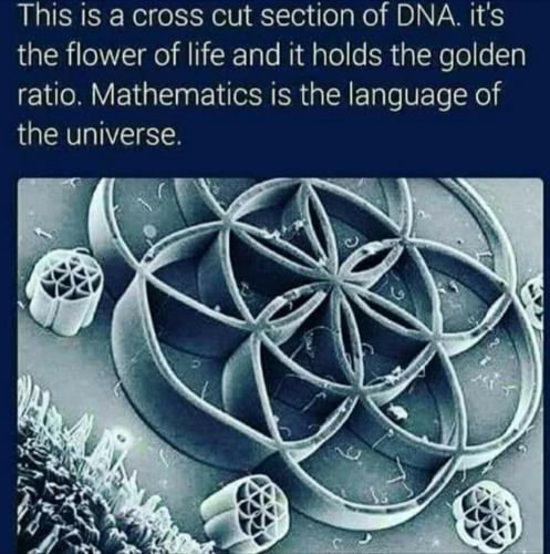 ca73333d-d91a-4436-a226-96c2a8b32fee