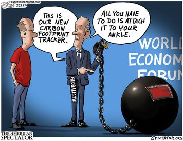 Carbon_Tracker_Spectator_Small20220525083900-375x275