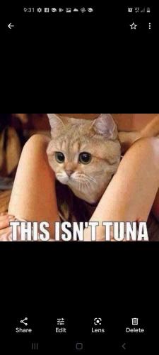 2d3602e0-ea3c-46d0-944d-fda4209801ab