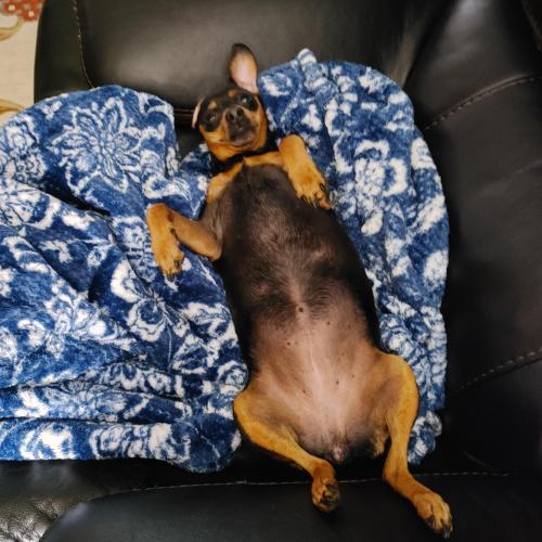 56de8143-fc34-4d7e-b426-c221f8f3d7f1