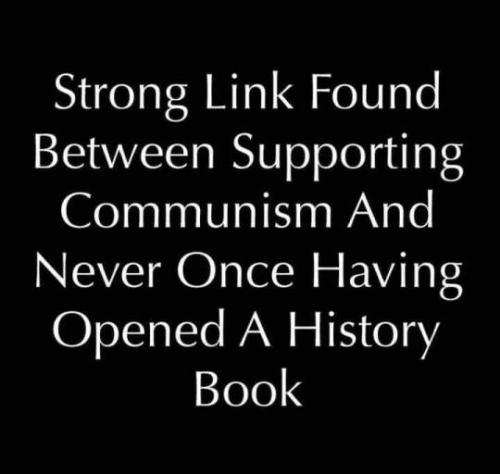 tumblr_60a6a12316cd612fde7976f06a93e28d_b2b9ffde_540
