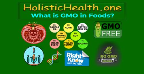 HolisticHealth.one - What is GMO