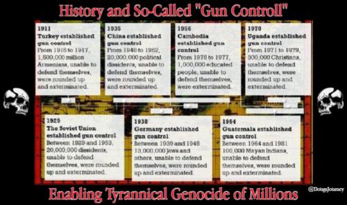 Gun Control History 1