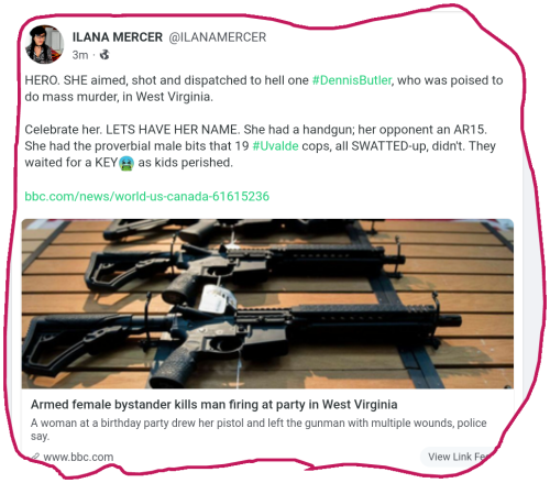 snapshot_gab.com_1653761290318