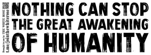 D59BA7C3-6F48-4231-B6A2-B269EBEF593B-38687-00001CF298988781