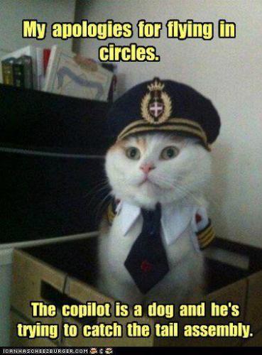 165979_332428930160904_1473780434_n