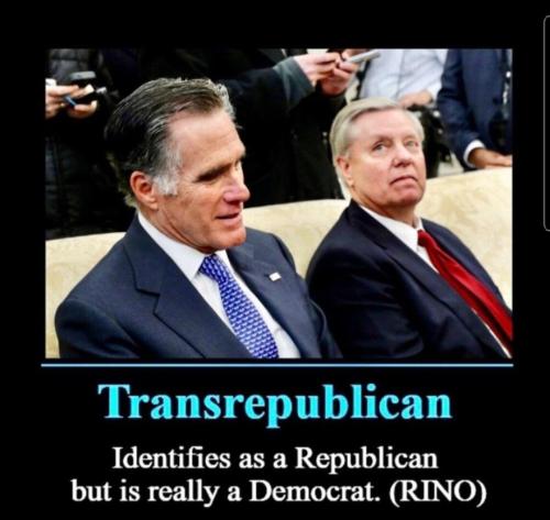 4713362c-65d4-49f6-9908-2b5a28998fdd