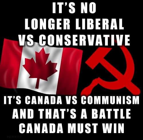 libs vs cons