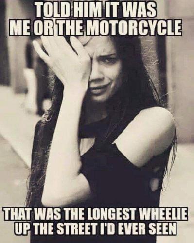 FB_IMG_1653539339633