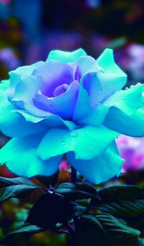 09:13:02 GMT-0500 (CDT)