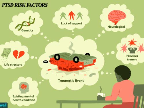 RISK FACTORS
