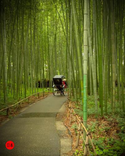 281344233_7494958893909098_2159868381437264764_n