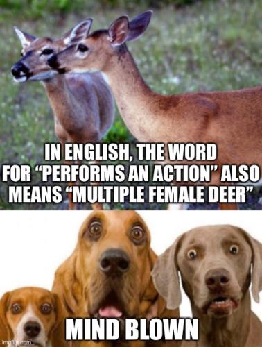 7E49DCB8-20FE-4262-AC5F-B15208E843DC