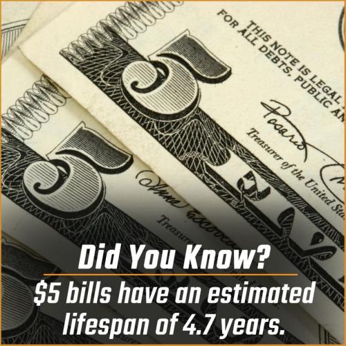 285000924_575512437276892_6824167938830867325_n