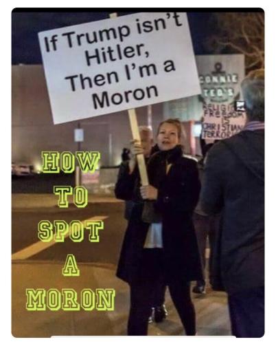 HOW TO SPOT A MORON